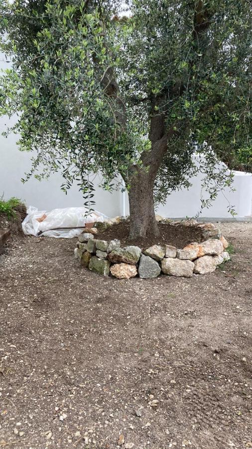 *Suite *Pozzo Dei Desideri Peschici Exteriér fotografie